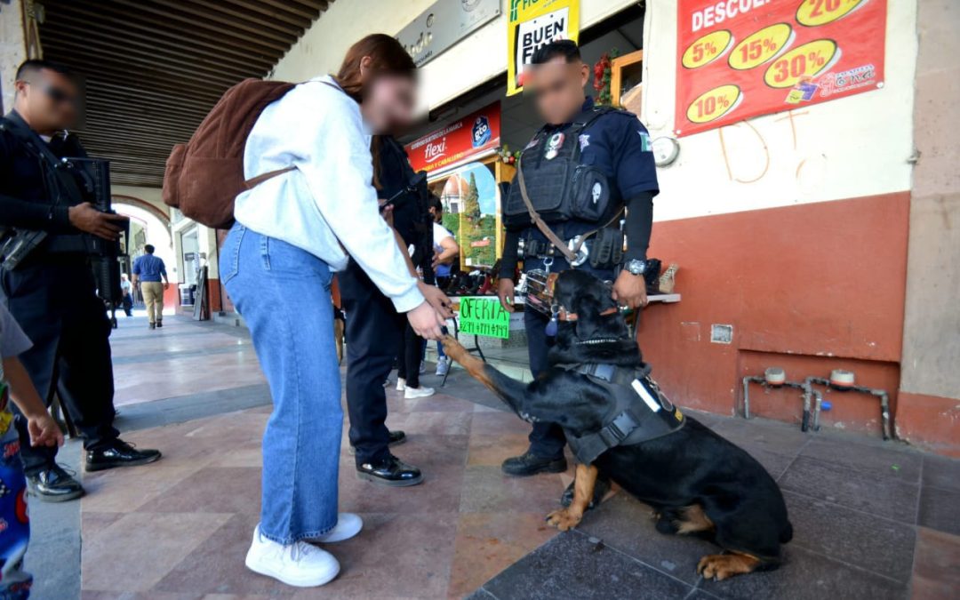 Arranca operativo del Buen Fin en Silao